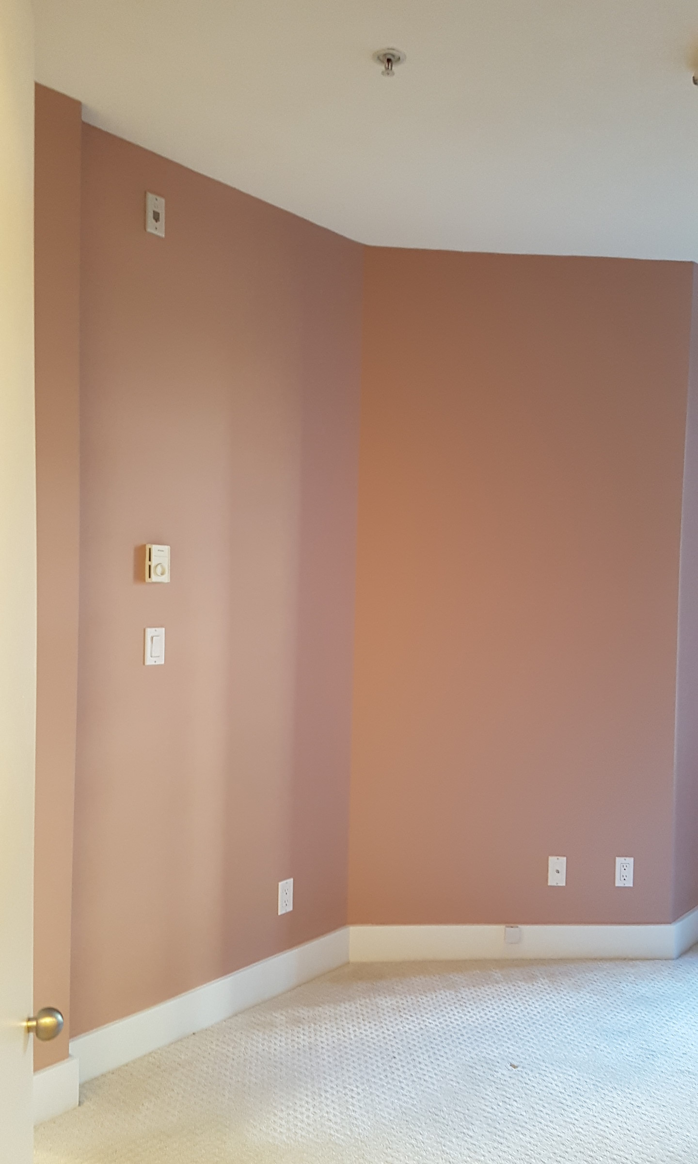 A renovated room with newly-painted walls.