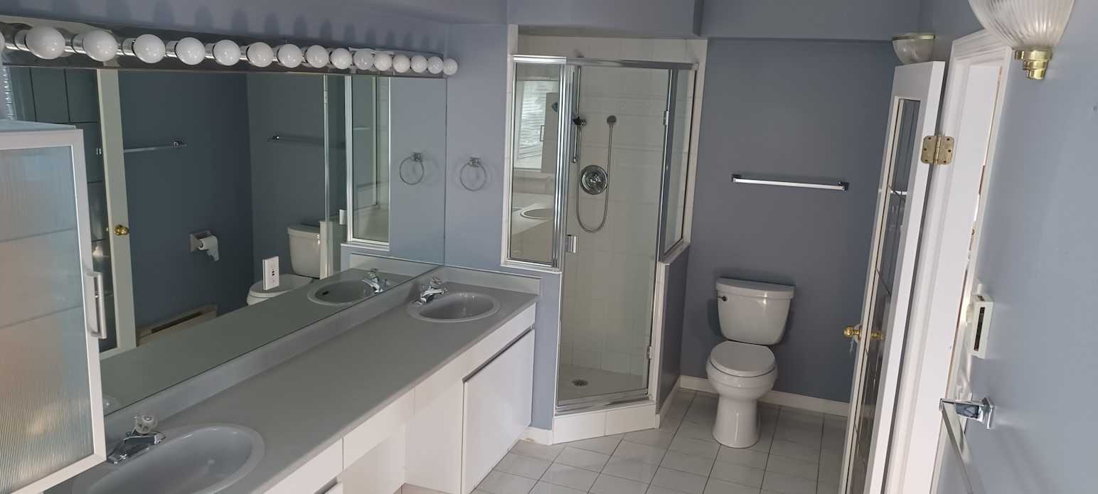 A bathroom before undergoing renovation.