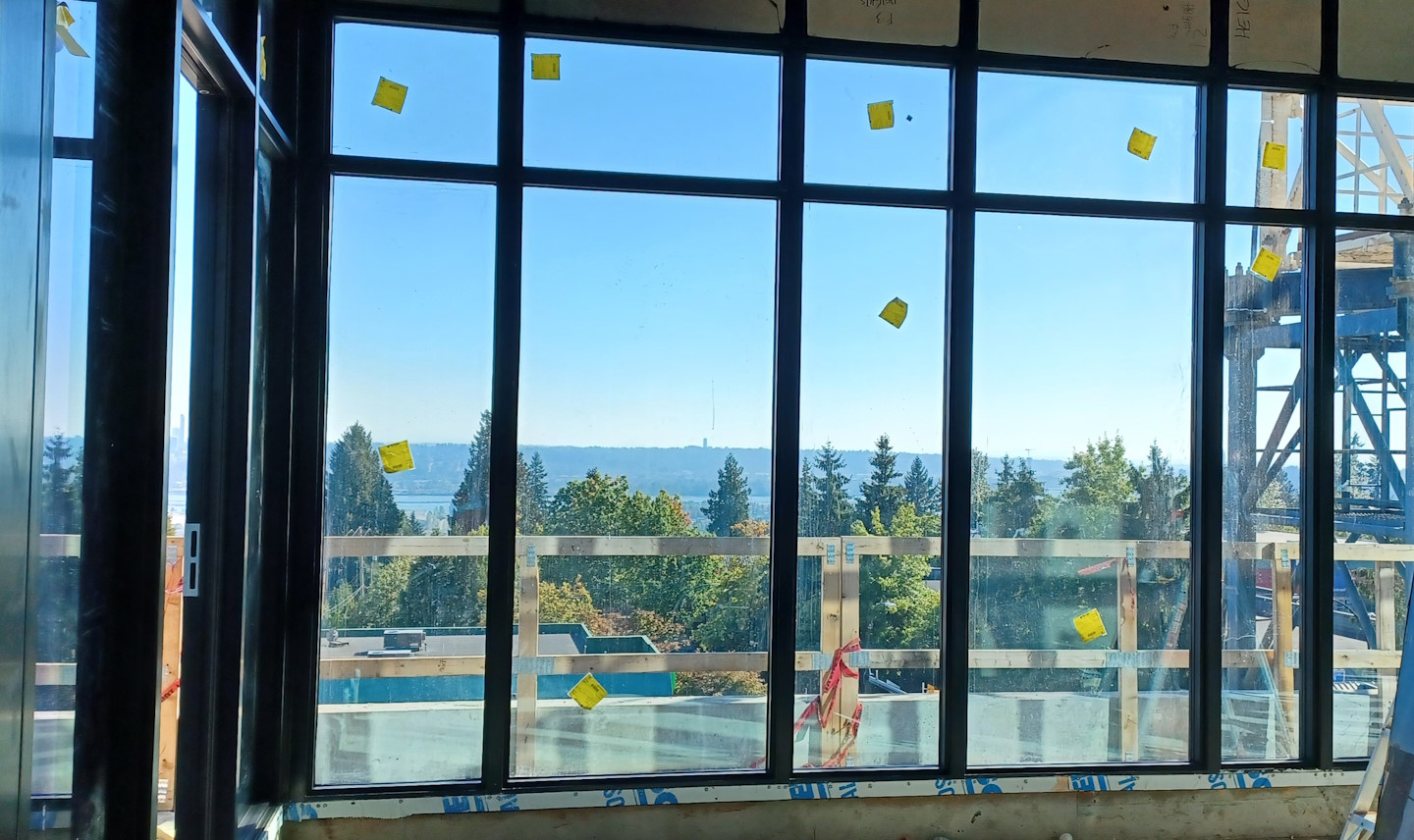 A set of newly-installed windows.